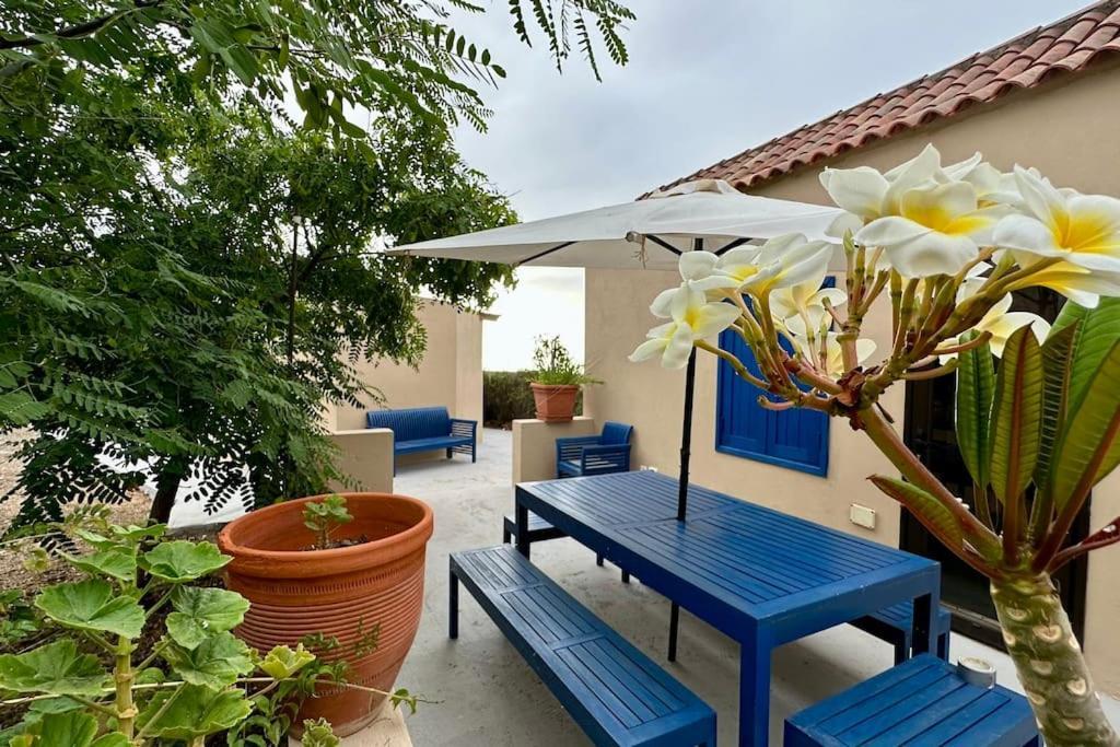 فيلا Peaceful Oasis With Magical Sea Views And A Pool سانتا كروز دي تينيريف المظهر الخارجي الصورة