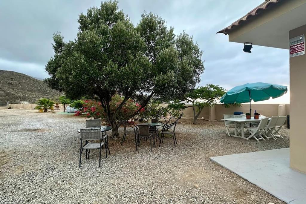 فيلا Peaceful Oasis With Magical Sea Views And A Pool سانتا كروز دي تينيريف المظهر الخارجي الصورة