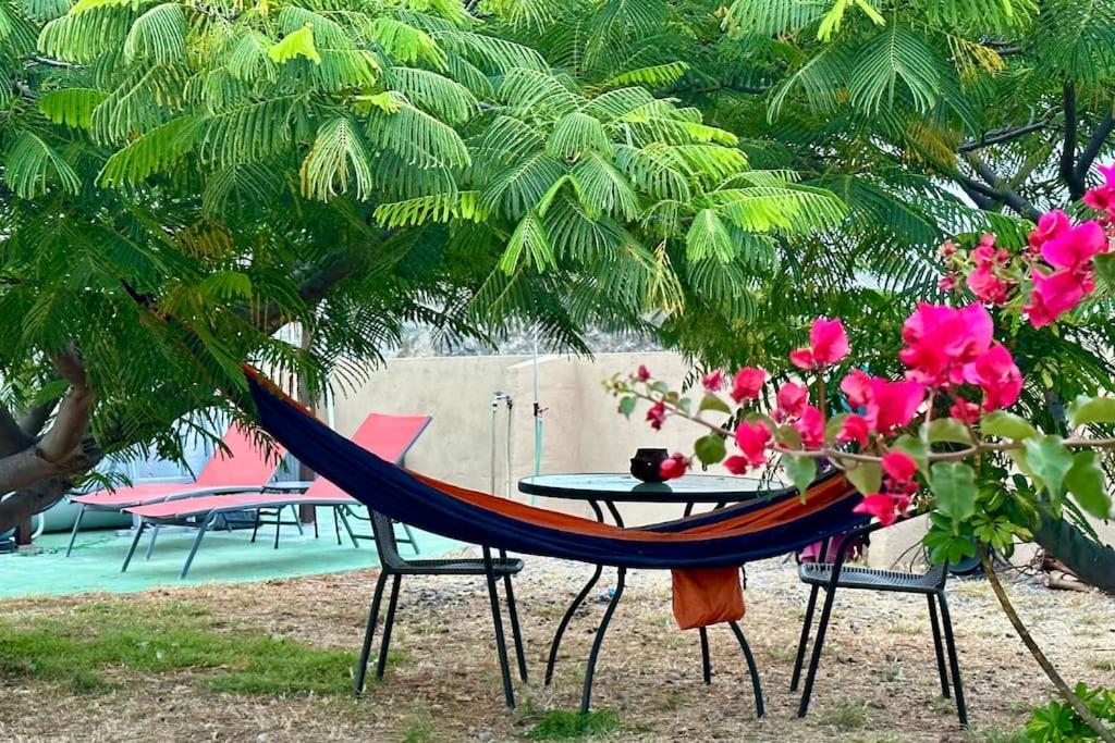 فيلا Peaceful Oasis With Magical Sea Views And A Pool سانتا كروز دي تينيريف المظهر الخارجي الصورة