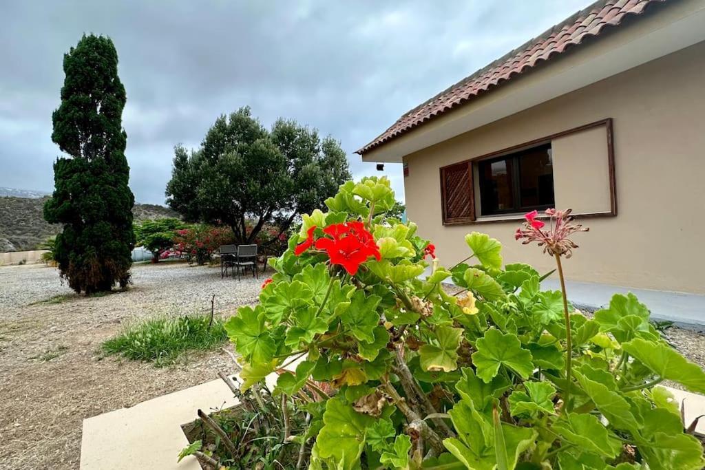 فيلا Peaceful Oasis With Magical Sea Views And A Pool سانتا كروز دي تينيريف المظهر الخارجي الصورة